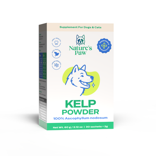 Kelp alge u prahu #KelpHelp